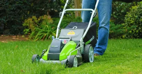 A Guide to Choosing the Best Battery Mowers Brisbane