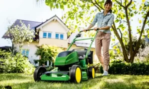 battery mowers Brisbane