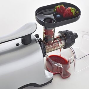 Angel Slow Juicer 8500