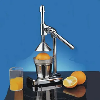 stainless steel juicer