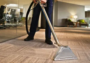 Professional Cleaners Sydney