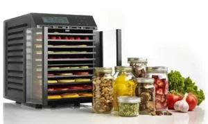 food dehydrator